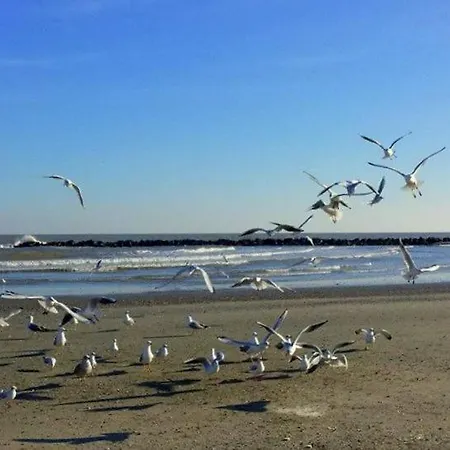 Luisa 5b 度假居 利多波波萨