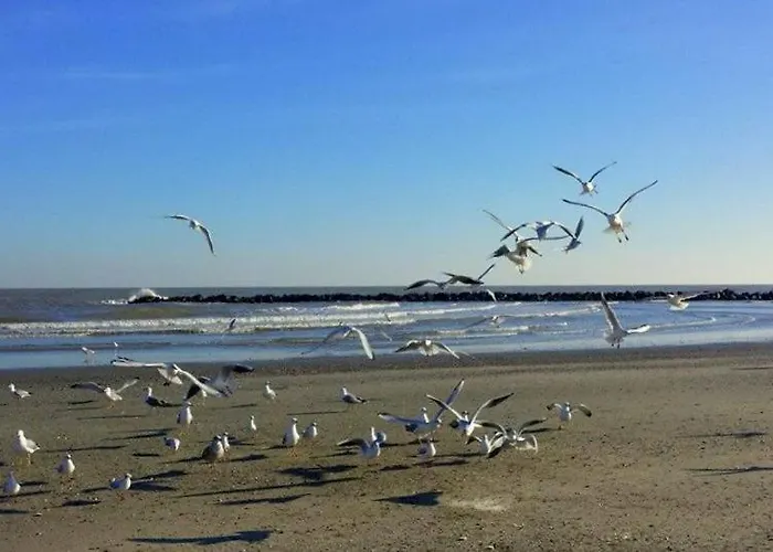 Luisa 5b Casa vacanze Lido di Pomposa